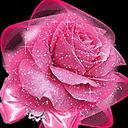 Flower001 3